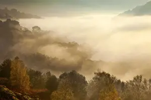 Cumbria Prints: View of Rydal Water covered in mist from White Moss Common - October - Lake District - England