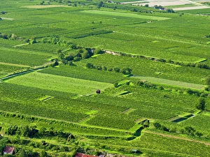 Abbey Gallery: View over the vineyards near the Danube from Gottweig