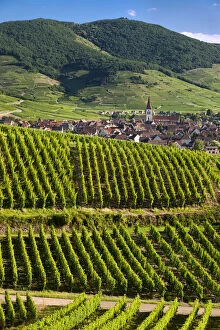 Village of Ammerschwihr surrounded by vineyards