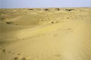Images Dated 1st March 2010: Village Arba - in sand dunes of Central Karakum desert
