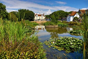 House Gallery: The Village Pond and the Elms, where Rudyard