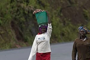 Villager walking with bucket on head