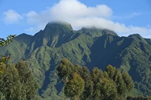Images Dated 30th December 2010: Virunga Mountains Volcanoes National Park