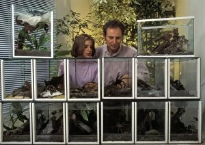 Cages Gallery: Vivarium / Terrariums - Man and girl observing
