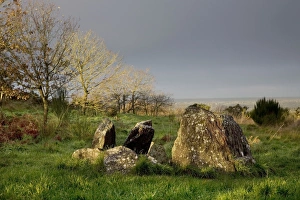 Images Dated 9th December 2006: Vivian's House Ruins - Brittany - France