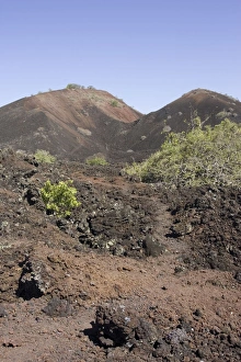 Images Dated 24th February 2006: Volcanic - Chaimu lava flow with volcanic cones in background Tsavo National Park, West Kenya