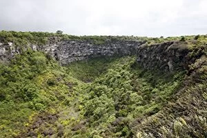 Images Dated 13th May 2008: Volcanic Crater - Los Gemelos (The Twins) - on the island of Santa Cruz - Galapagos Islands