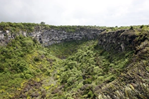 Images Dated 13th May 2008: Volcanic Crater - Los Gemelos (The Twins) - on the island of Santa Cruz - Galapagos Islands