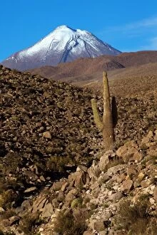 Volcano - with cactus Atacama - Chile
