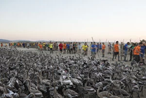 Flamingos Gallery: Volunteers at the Laguna de Fuente de Piedra near