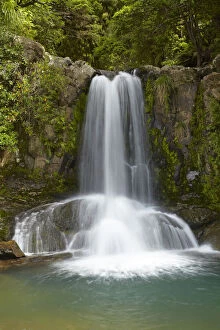 Images Dated 18th November 2010: Waiau Waterfall, 309 Road, Coromandel Peninsula