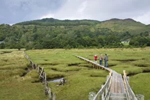 Images Dated 10th August 2008: Three walkers on a boardwalk cross a tidal wetland