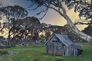 Wallaces Hut - famous and ancient alpine Hut on Victorias High Country, surrounded by ancient snow gums