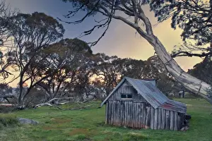 Huts Prints: Wallaces Hut - famous and ancient alpine Hut on Victoria's High Country