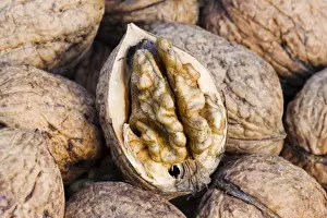 Introduced Prints: Walnuts - closeup of basket with single fruit opened to expose the edible walnut seed