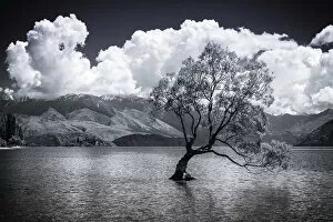 Southern Collection: The Wanaka tree, Lake Wanaka, Otago, South Island, New Zealand Date: 01-07-2021