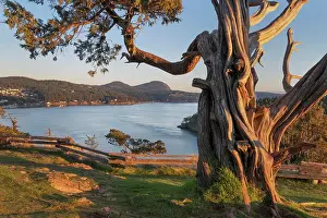 Evening Prints: Washington Park Anacortes, Washington State Date: 09-02-2021