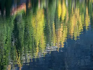 State Prints: Washington State, North Cascades, Blue Lake, Larch tree reflections Date: 04-10-2020