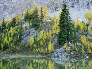 Fall Collection: Washington State, North Cascades, Alpine Pond with Larch and Fir trees Date: 04-10-2020