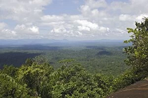 WAT-12061 Tropical Rainforest. Venezuela
