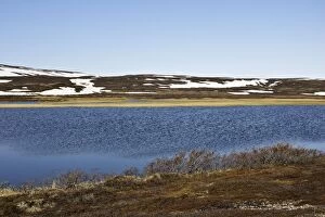 WAT-12367 Norway - turndra landscape at edge of Varanger Fjord