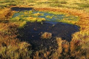 WAT-12688 Estonia - Peat bog in Nigula national park