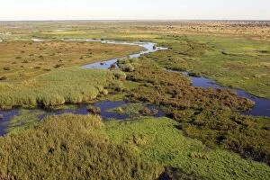 WAT-13504 Zambia - Bangweuleu marshes