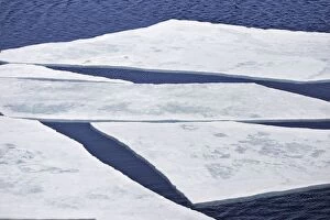 WAT-13555 Pack Ice in Antarctica