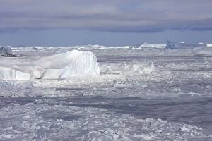 WAT-13560 Pack Ice in Antarctica