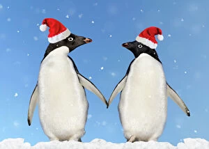 WAT-13613-M1 Adelie Penguin - holding hands wearing Christmas hats