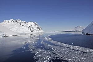 WAT-13672 Lemaire channel - Antarctic Pennisular