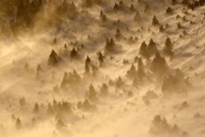 WAT-15880 Ordesa Valley - dust being blown
