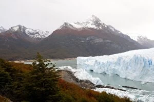 WAT-16404 Perito Moreno Glacier - Glacier National Park