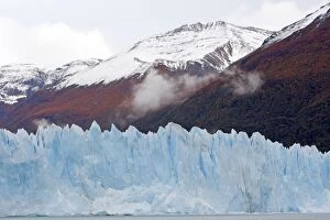 WAT-16408 Perito Moreno Glacier - Glacier National Park