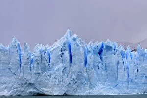 WAT-16410 Perito Moreno Glacier - Glacier National Park