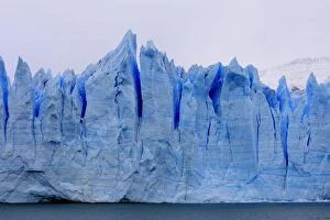 WAT-16411 Perito Moreno Glacier - Glacier National Park