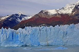 WAT-16416 Perito Moreno Glacier - Glacier National Park