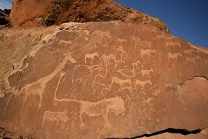 WAT-8179 NAMIBIA - Rock engravings of wildlife