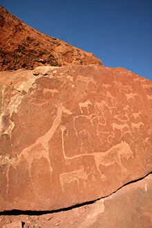 WAT-8180 NAMIBIA - Rock engravings of wildlife