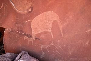 WAT-8181 NAMIBIA - Rock engraving of elephant