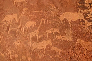 WAT-8184 NAMIBIA - Rock engravings of wildlife, including rhinoceros