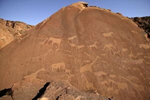 WAT-8186 NAMIBIA - Rock engravings of wildlife