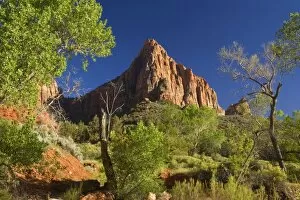 Images Dated 7th May 2009: The Watchman - this mountain is a famous landmark along the Virgin River in Zion Canyon - with