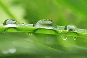 Droplets Prints: Water Droplets