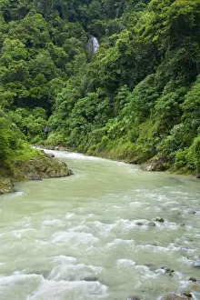 Waterfall and Bahorok river - beautiful waterfall cascades down a steep cliff flowing into bahorok river in precious sumatran tropical rainforest. This is the precious habitat of the very endangered sumatran orangutan