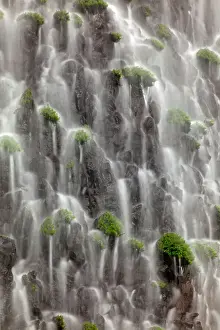Tranquil Prints: Waterfall close-up, Columbia River Gorge, Oregon Date: 18-06-2013