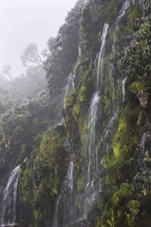 Waterfall in Mobuku valley, Rwenzori, Uganda