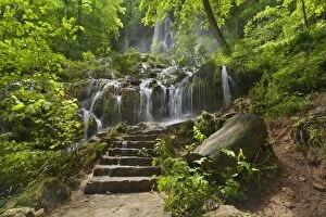 Deciduous Gallery: Waterfall steps lead to waterfall in forest
