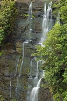 Waterfall, surrounded by lush forest