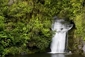 Waterfalls Prints: Waterfall water flowing over rocks into a basin in lush temperate rainforest with ferns